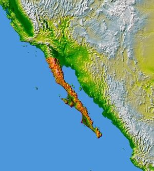 Baja Mexico